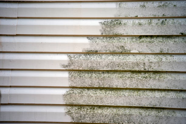 Best Demolition Debris Removal  in Arcadia, LA