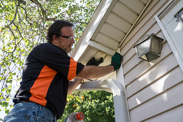 Shed Removal in Arcadia, LA